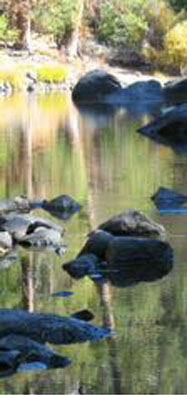 welcome river image